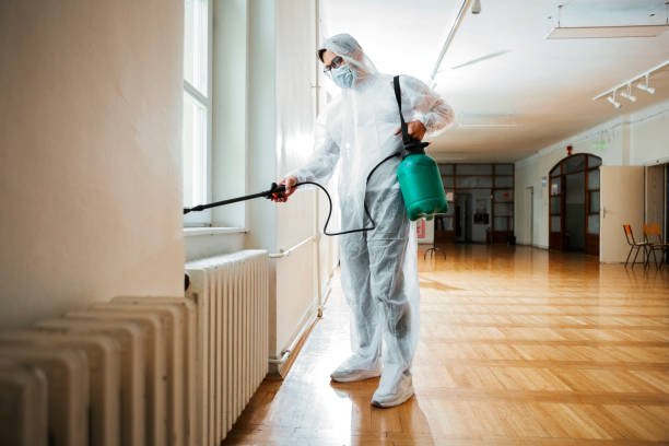 Reliable Pottsville, PA Pest Control Solutions