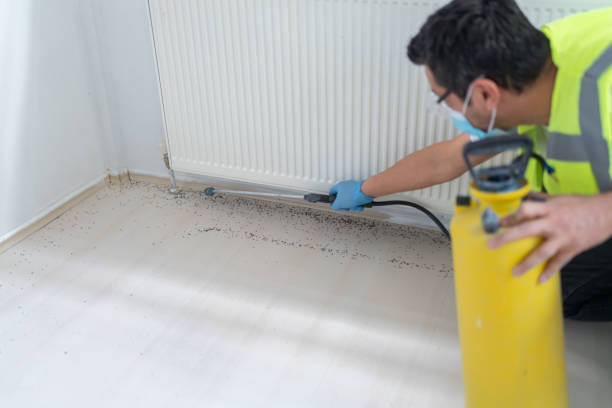 Best Emergency Pest Control  in Pottsville, PA
